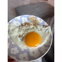 大園 桃子