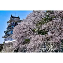 神崎　唯