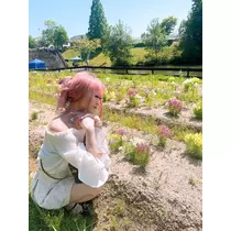 姫花