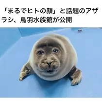 未来