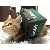 あいる