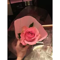 白石 愛莉