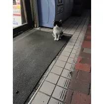 ゆき