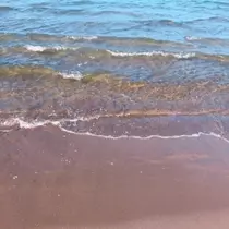 成海 まお