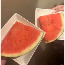 れんか