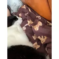 黒川 すみれ