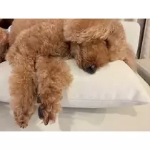 美波 あいか