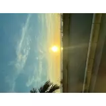ゆかり