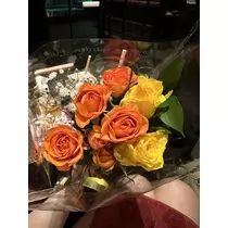 白石 愛莉
