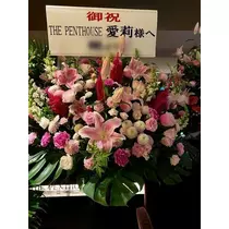 白石 愛莉