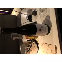 宝條 夏恋
