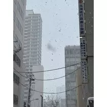 天月 あすな