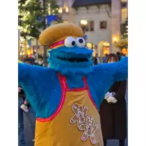 姫花