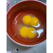 桐島 りゅう