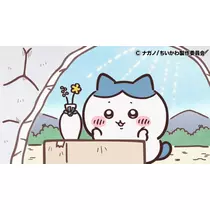 Nao ^._.^