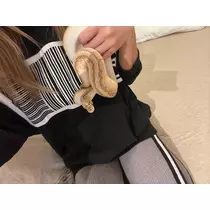 ティナ