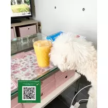 夏樹 あや