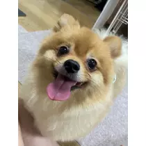 るい♡