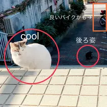 あいり