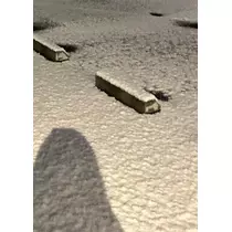 神永 莉聖
