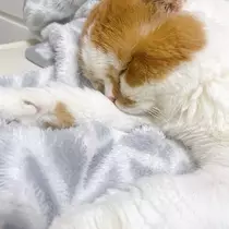 れみ