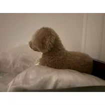 美波 あいか