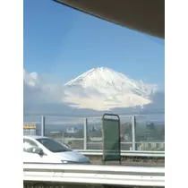 もも