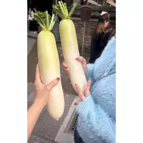 北の関まほの海