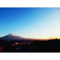 本城 椿