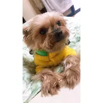恋