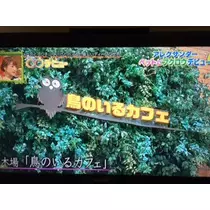 蓮