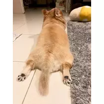 夏樹 あや