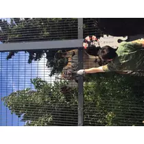如月 凛