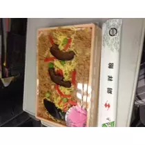 蓮見 リア