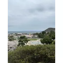 神永 莉聖