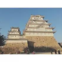 さくら