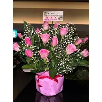 白石 愛莉