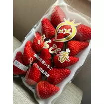 ハルカ