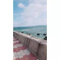 あやの