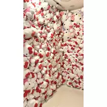 かびるんるんさわ