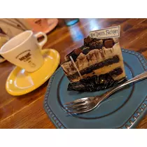 桐谷莉紗 先輩
