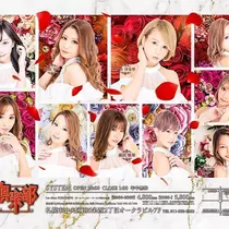 椿姫  なみ