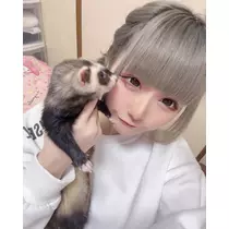 雛鶴 めい