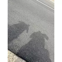 綾瀬 優