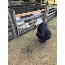 のぞみ