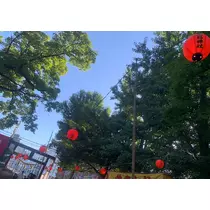 咲良 水月