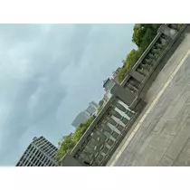 司
