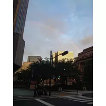 宝條 夏恋