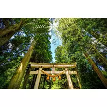神崎　唯