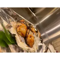 美月